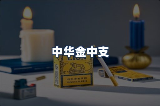 中华金中支